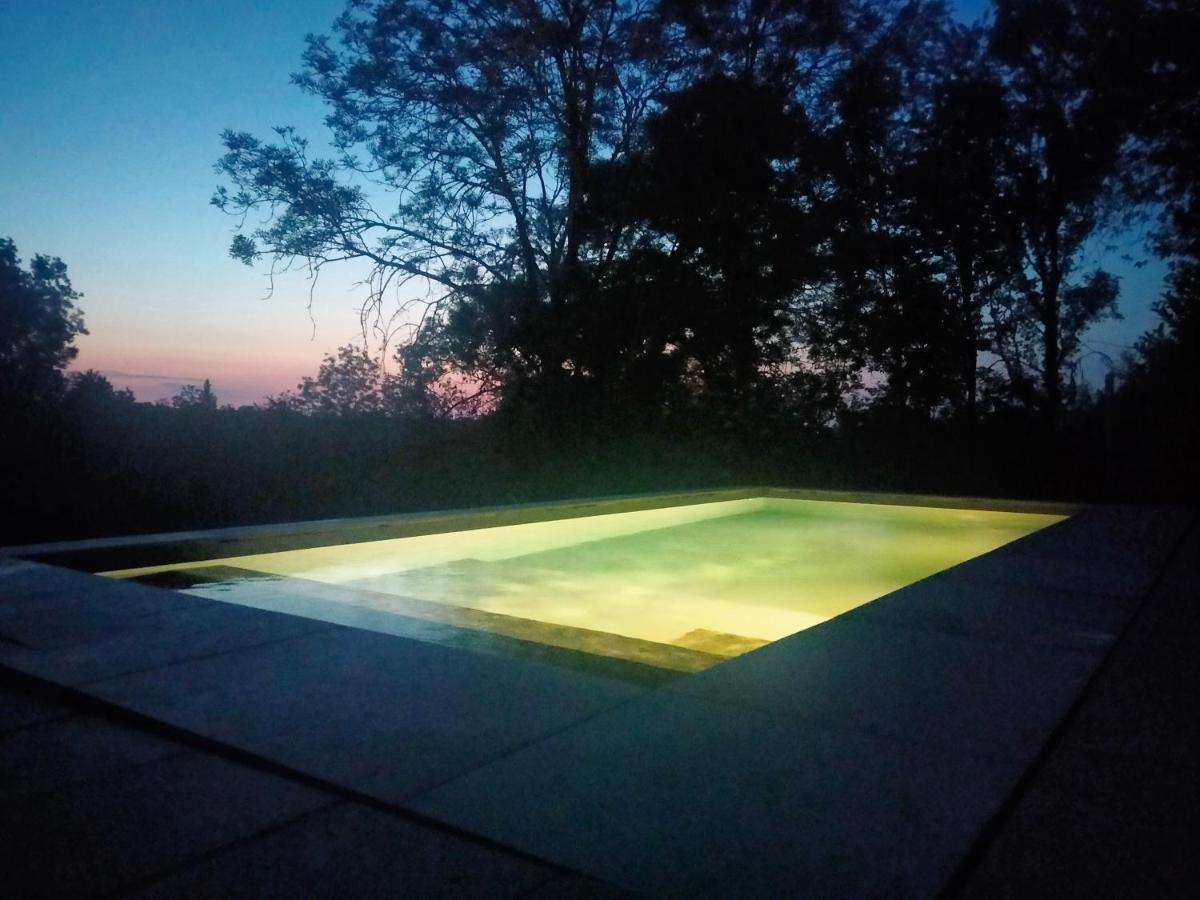 La Canopee Des Arbres, Anna Ellezelles Luaran gambar