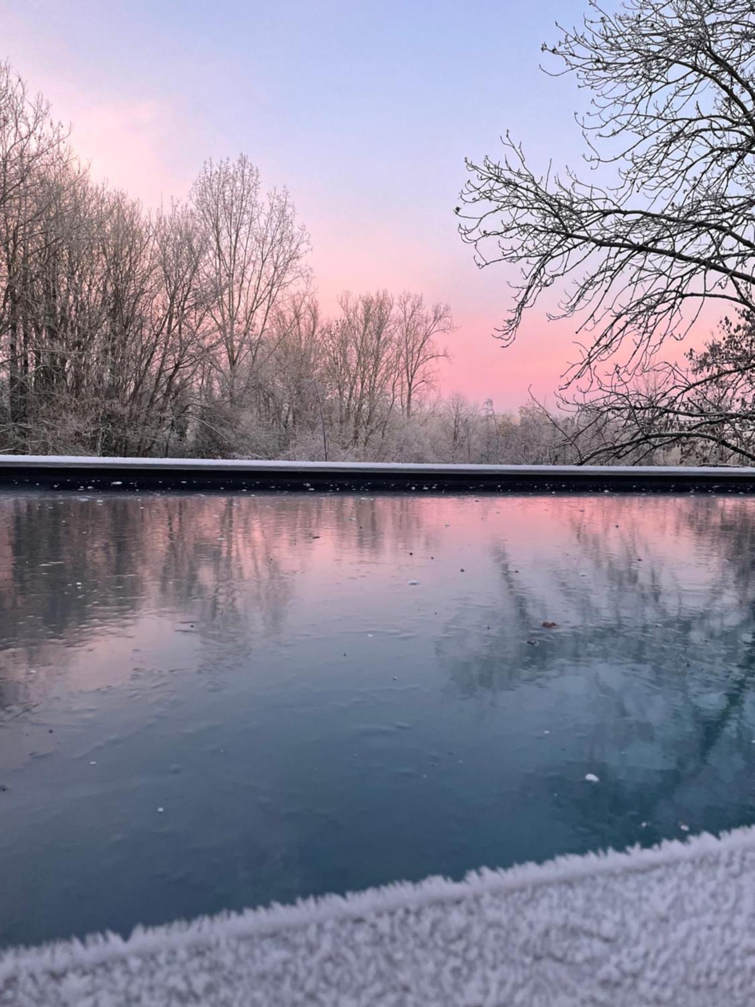 La Canopee Des Arbres, Anna Ellezelles Luaran gambar